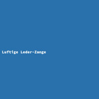Luftige Leder-Zange
